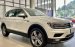 Volkswagen Tiguan Luxury giảm ngay 50% lệ phí trước bạ !!