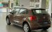 Bán ô tô Volkswagen Polo đời 2021, màu nâu, nhập khẩu chính hãng, giá 695tr