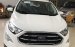 Bán xe Ford EcoSport 1.0P AT Titanium đời 2020, màu trắng, xe nhập