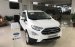 Bán xe Ford EcoSport 1.0P AT Titanium đời 2020, màu trắng, xe nhập