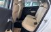 Volkswagen Polo Hatchback 2020 vua dòng xe đô thị - Xe sẵn giao ngay tháng 10