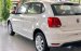 Volkswagen Polo Hatchback 2020 vua dòng xe đô thị - Xe sẵn giao ngay tháng 10