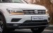 Volkswagen Tiguan Elegance nhập khẩu nguyên chiếc tặng quà khủng