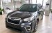 Subaru Forester Đà Nẵng - Ưu đãi tiền mặt + Phụ kiện lên đến 159 triệu - Trả góp 80% lãi suất ưu đãi 