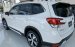 Giá Subaru Forester Eyesight 2021