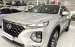 Cần bán xe Hyundai Santa Fe sản xuất năm 2019