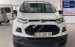 Cần bán lại xe Ford EcoSport 1.5L Titanium đời 2016, màu trắng số tự động, giá 446tr