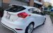 Bán Ford Focus Sport 1.5L 2018, màu trắng