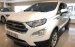 Bán Ford EcoSport sản xuất năm 2020, màu trắng còn mới, giá 590tr