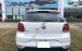 Cần bán Volkswagen Polo 1.6 AT năm 2020, màu trắng, nhập khẩu chính chủ, giá tốt