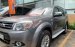 Cần bán gấp Ford Everest Limited đời 2014, màu xám  