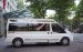 Bán xe Limousine cao cấp 10 chỗ - Ford Transit, màu trắng chính chủ