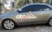 Cần bán gấp Kia Cerato 1.6MT sản xuất năm 2010, màu xám, nhập khẩu Hàn Quốc
