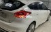 Bán Ford Focus Sport đời 2016, màu trắng