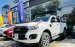 Cần bán lại xe Ford Ranger Wildtrak đời 2018, màu trắng, xe nhập