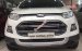 Bán Ford EcoSport Titanium 1.5L AT năm sản xuất 2014, màu trắng còn mới