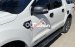 Cần bán xe Ford Ranger Wildtrak năm sản xuất 2018, màu trắng số tự động giá cạnh tranh
