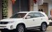 Cần bán gấp Kia Sorento AT đời 2016, màu trắng