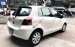 Cần bán gấp Toyota Yaris 1.3AT đời 2010, màu trắng, nhập khẩu