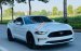 Cần bán Ford Mustang Premium Fastback đời 2019, màu trắng, nhập khẩu