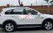 Bán ô tô Chevrolet Captiva LTZ 2014, màu trắng xe gia đình
