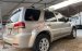 Bán xe Ford Escape 2.3AT 2009, màu bạc chính chủ