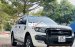 Cần bán xe Ford Ranger Wildtrak đời 2017, màu trắng, nhập khẩu nguyên chiếc còn mới