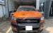 Bán ô tô Ford Ranger Wildtrak 3.2L 4x4 AT năm 2017, nhập khẩu