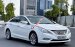 Cần bán gấp Hyundai Sonata 2.0 2012, màu trắng, nhập khẩu  