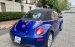 Cần bán Volkswagen New Beetle 2.5 AT năm sản xuất 2007, màu xanh lam, nhập khẩu nguyên chiếc còn mới, giá chỉ 570 triệu