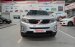 Cần bán Kia Sorento DATH đời 2017, màu bạc, giá chỉ 748 triệu