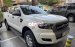 Cần bán gấp Ford Ranger AT năm sản xuất 2017, màu trắng, xe nhập còn mới