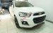 Bán ô tô Chevrolet Captiva LTZ đời 2017, màu trắng