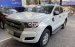 Cần bán gấp Ford Ranger AT năm sản xuất 2017, màu trắng, xe nhập còn mới
