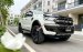 Ford Ranger 3.2 Wildtrak 2 cầu 2017, trang bị đồ chơi xịn 250tr, kiểm tra định kỳ thường xuyên, bao test hãng