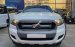 Ford Ranger XLS AT 2017 màu trắng, giá 569tr