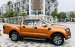 Cần bán lại xe Ford Ranger Wildtrack năm sản xuất 2017, màu nâu còn mới