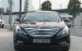 Bán Hyundai Sonata Y20 sản xuất năm 2010, màu đen, nhập khẩu nguyên chiếc