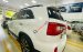 Bán Kia Sorento AT năm sản xuất 2016, màu trắng giá cạnh tranh