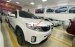 Bán Kia Sorento AT 2016, màu trắng