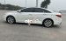 Bán ô tô Hyundai Sonata Y20 sản xuất năm 2010, màu trắng, nhập khẩu nguyên chiếc giá cạnh tranh