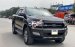 Cần bán lại xe Ford Ranger Wildtrak 3.2 năm 2016, màu đen, nhập khẩu nguyên chiếc