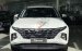 Bán ô tô Hyundai Tucson AT sản xuất 2021, màu trắng, 825 triệu