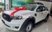 Bán Ford Ranger XL 4X4 sản xuất năm 2021, màu trắng