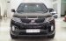 Kia Sorento GATH 2.4AT năm 2016, odo 48000km, xe cực đẹp, biển TPHCM, có hỗ trợ góp