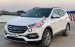 Xe Hyundai Santa Fe 2.2L 4WD năm 2017, màu trắng, 820tr