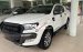 Cần bán gấp Ford Ranger Wildtrak 3.2AT sản xuất 2016, màu trắng, nhập khẩu nguyên chiếc