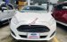 Bán Ford Fiesta 1.0L Ecoboost năm sản xuất 2018, màu trắng
