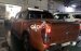 Bán Ford Ranger Wildtrak 3.2 4x4AT sản xuất 2016, nhập khẩu