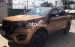 Bán Ford Ranger Wildtrak năm sản xuất 2021